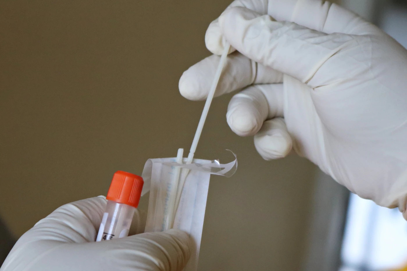 Gloved hands placing a test swab into a collection tube